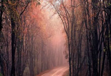 开云体育登录-钢铁城墙崩塌夜！瓦兰伤退引爆猛龙致命缺口，步行者冷箭穿心改写北境格局