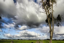 开云体育下载-淬火重铸：一个百年品牌的破茧时刻
