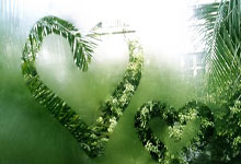 开云体育中国-绿茵玫瑰绽放！葡萄牙女足用铁血战术撕碎传统强权剧本