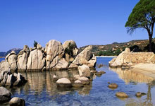 开云下载-卡尔蒂斯球迷现场助威，球队斗志昂扬