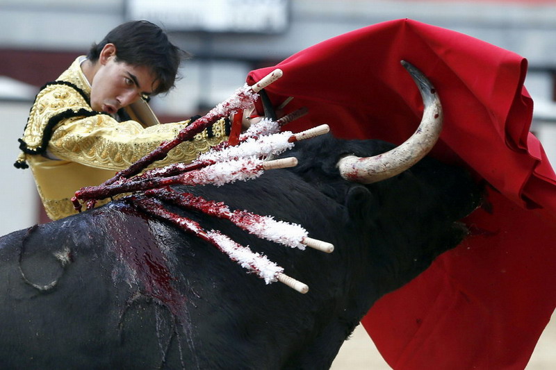 开云体育入口-关于东亚顶级俱乐部将在场上展开激烈角逐！的信息