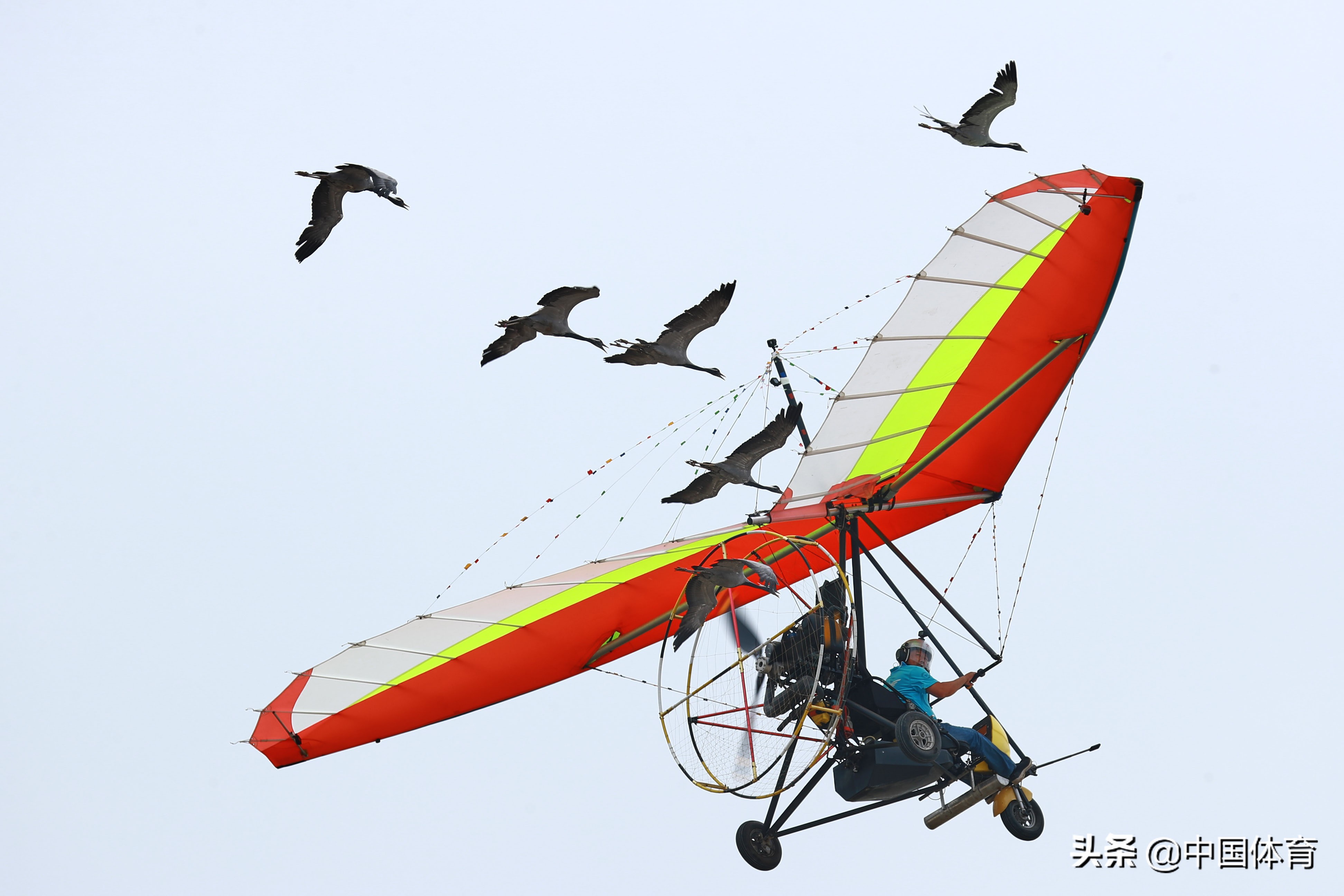 摩纳哥飞翔者迎来挑战沃尔夫斯堡,展望比赛 摩纳哥飞翔者迎来挑战沃尔夫斯堡,展望比赛