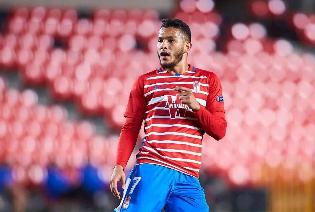 开云体育下载-荷甲劲旅引进哥伦比亚新防守核心，强化防线体系