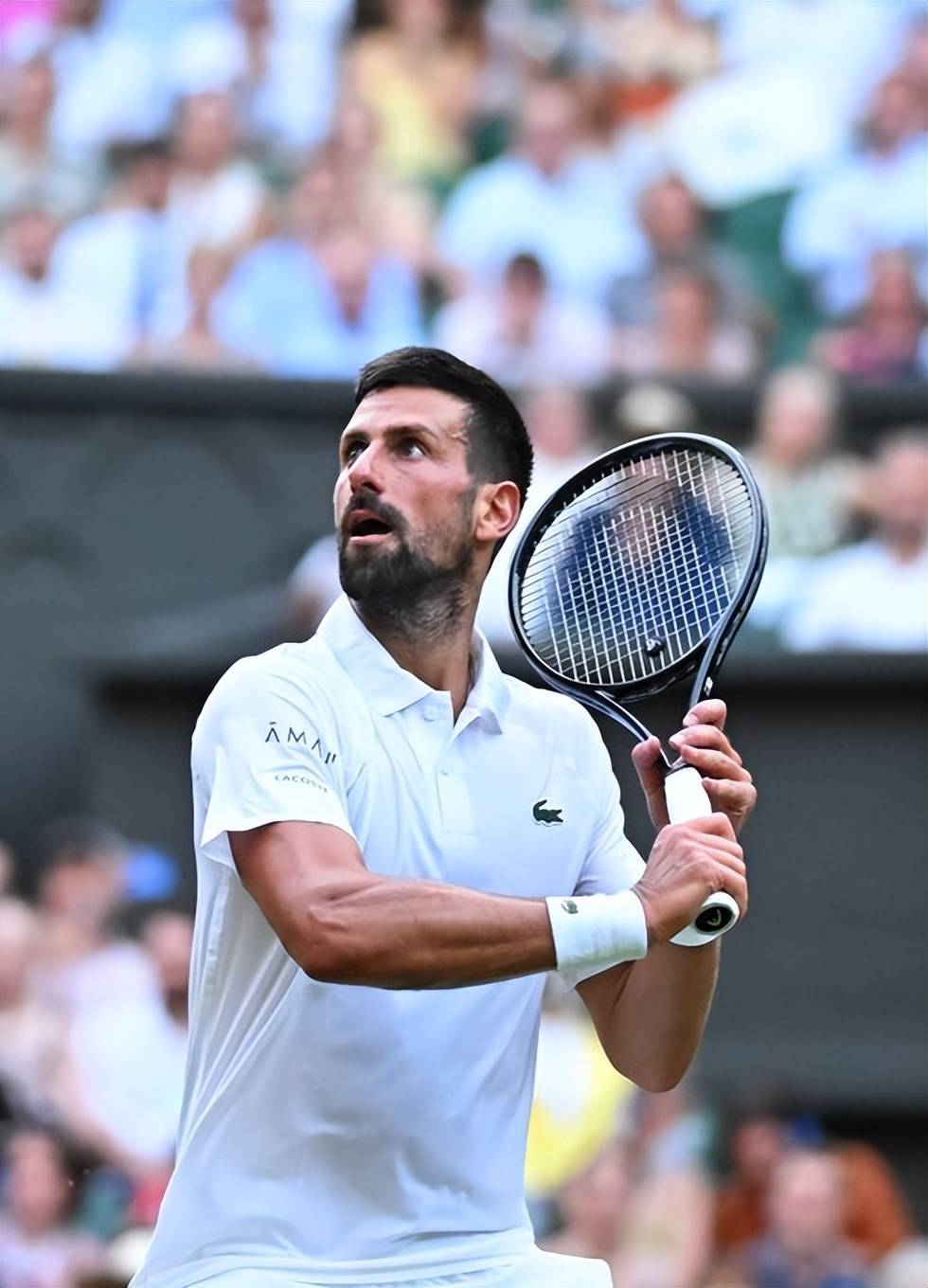 开云体育官方网站-法网逆转温网,德约科维奇点燃赛场