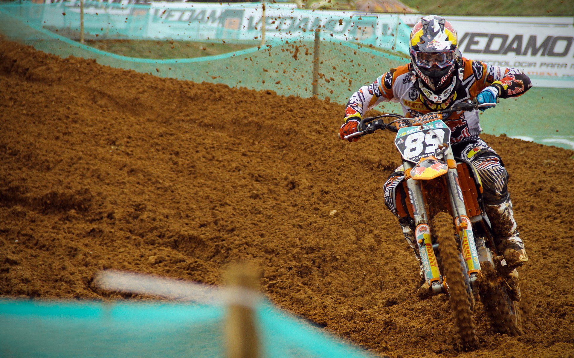 开云体育登录-当拜仁的必然遇见灰熊的偶然，体育世界里唯一确定的就是不确定性